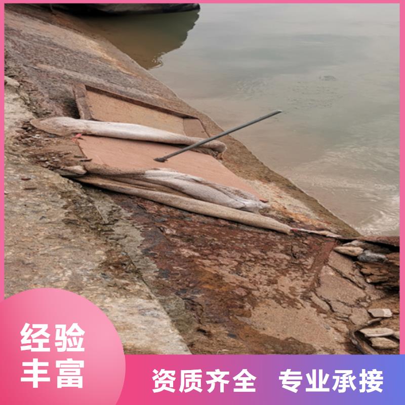水下作业欢迎电询