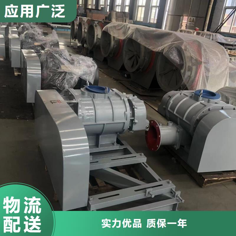 2025三叶罗茨鼓风机LFSR200