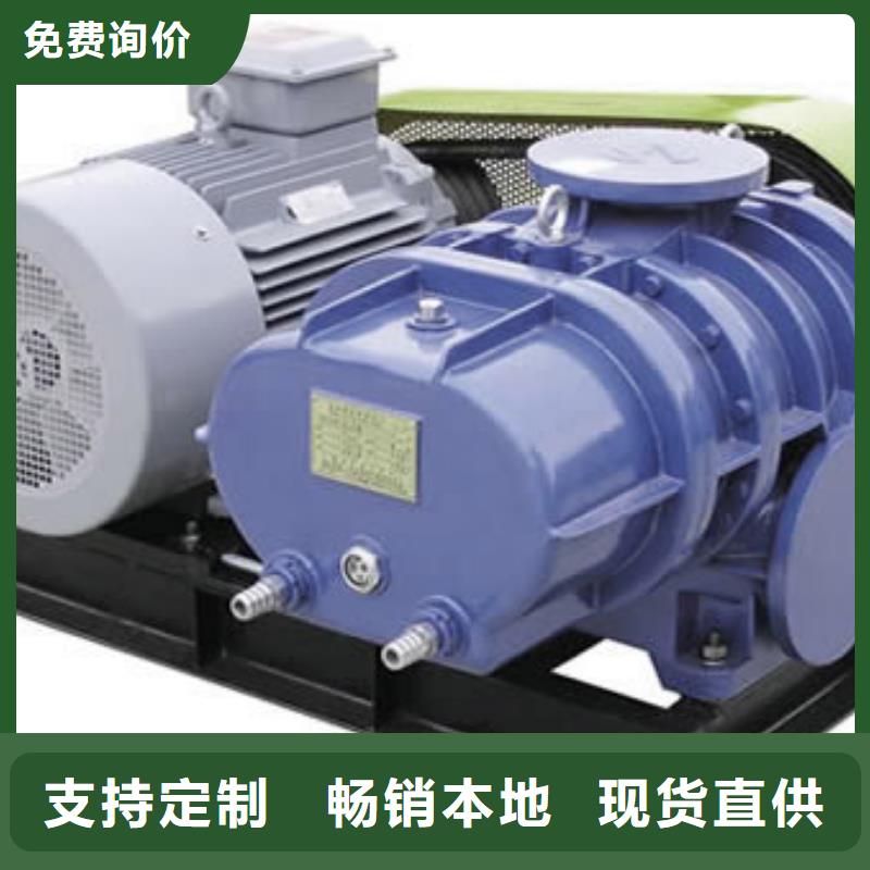 2025三叶罗茨鼓风机LFSR200