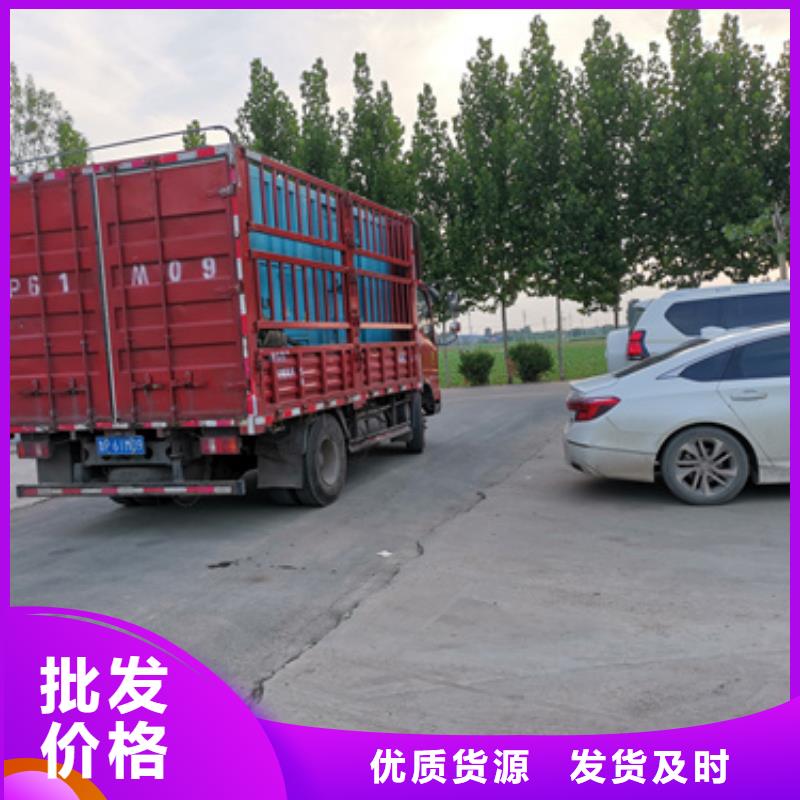 优质进口发电机租赁生产厂家