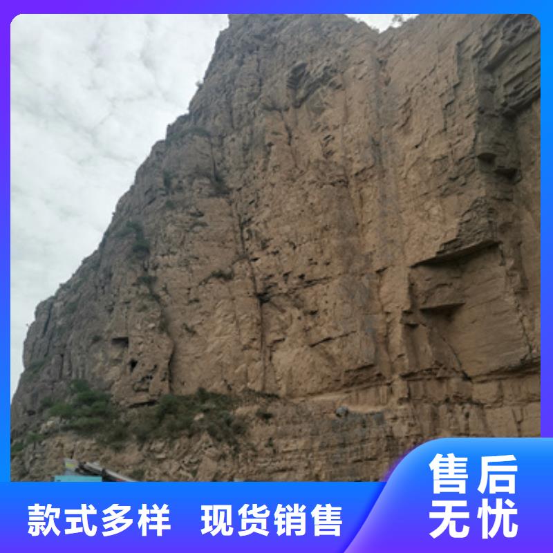 发电机并网口碑好信赖
