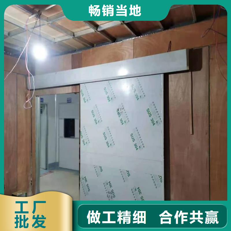 支持定制的电动铅门1000*2400mm基地
