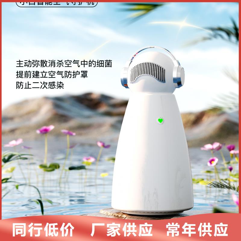 小白祛味王车载空气净化器销售细节决定品质