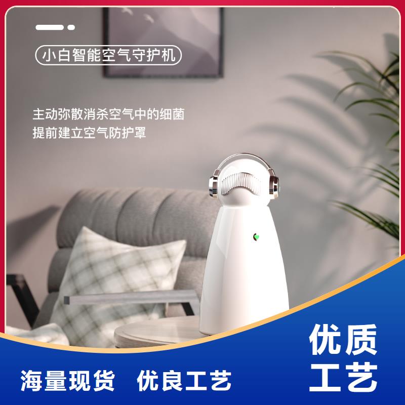 小白祛味王空气消毒机价格质量牢靠