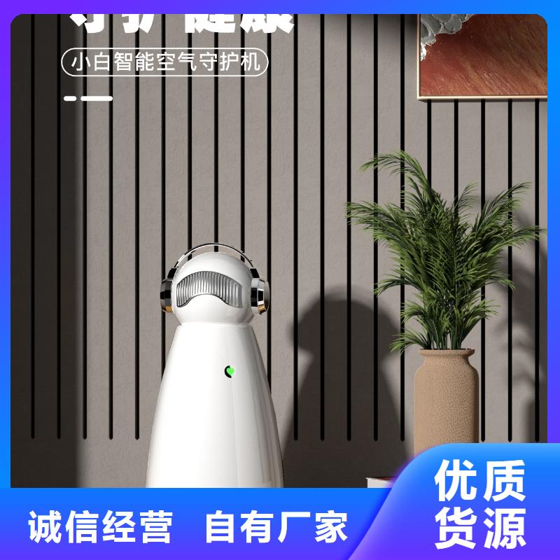 艾森智控车载空气净化器供应定制销售售后为一体