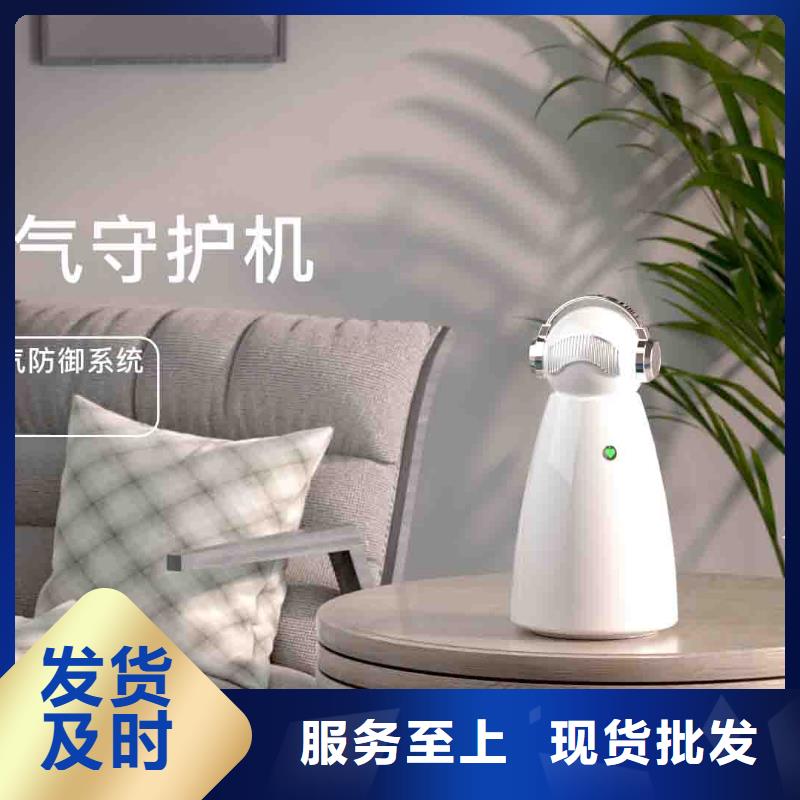 小白孕妇空气守护机车载空气净化器销售热线层层质检