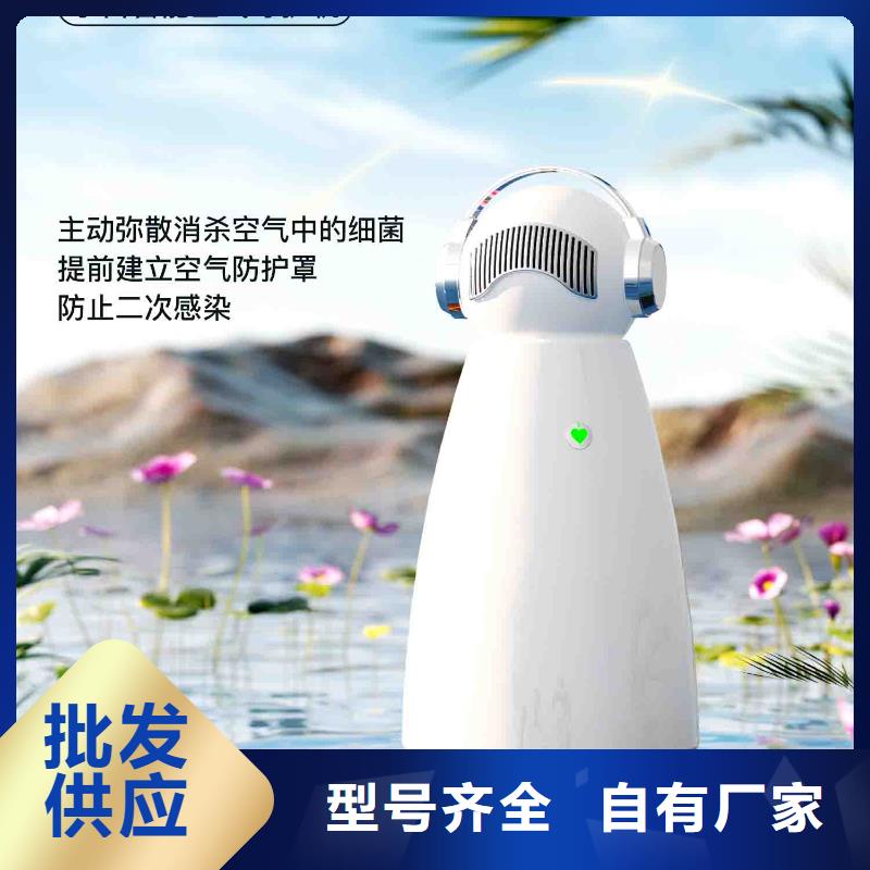 小白婴儿空气守护机【车载空气净化器】实体诚信经营