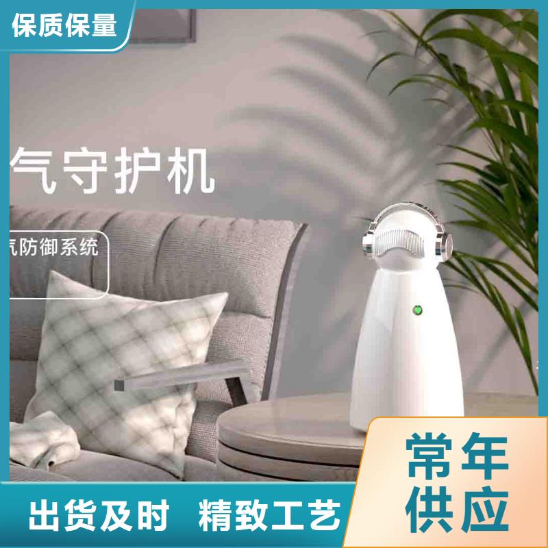 小白婴儿空气守护机【车载空气净化器】实体诚信经营
