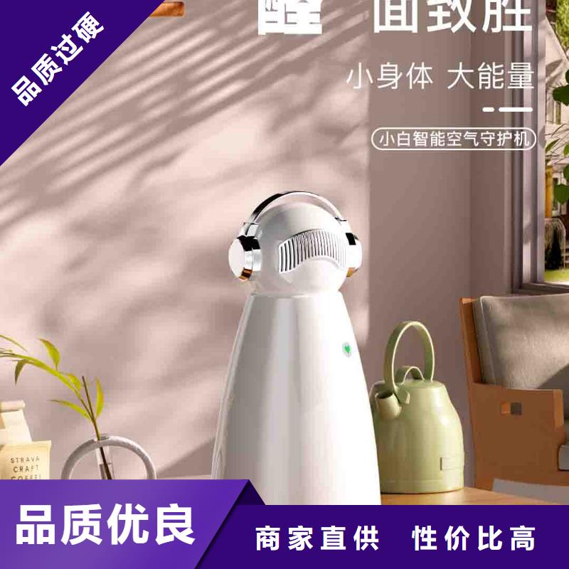 小白婴儿空气守护机【车载空气净化器】N年生产经验