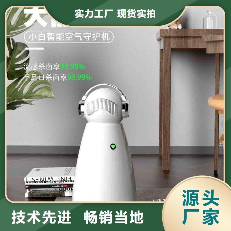 小白空气守护机免费询价