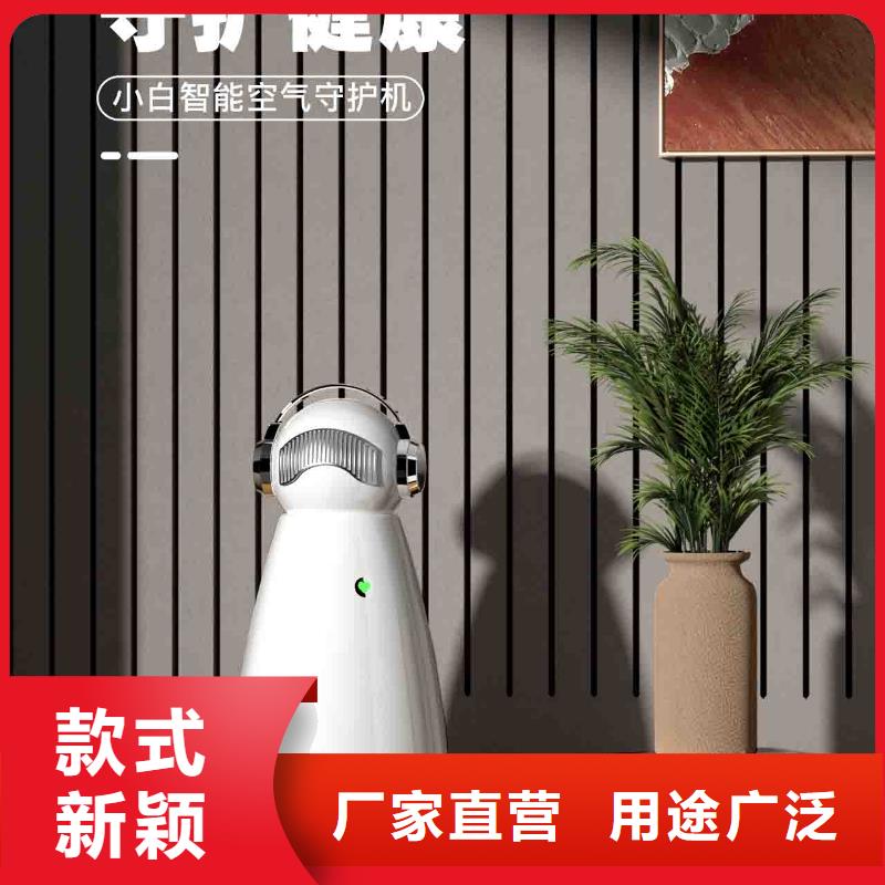 小白空气守护机免费询价