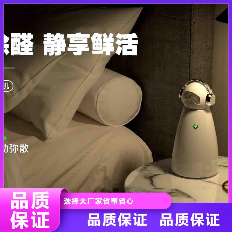 小白空气守护机车载空气净化器批发质量上乘