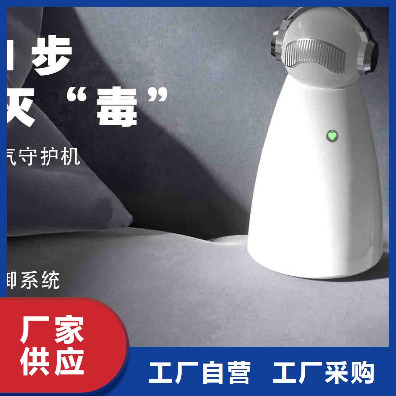 小白空气守护机免费询价