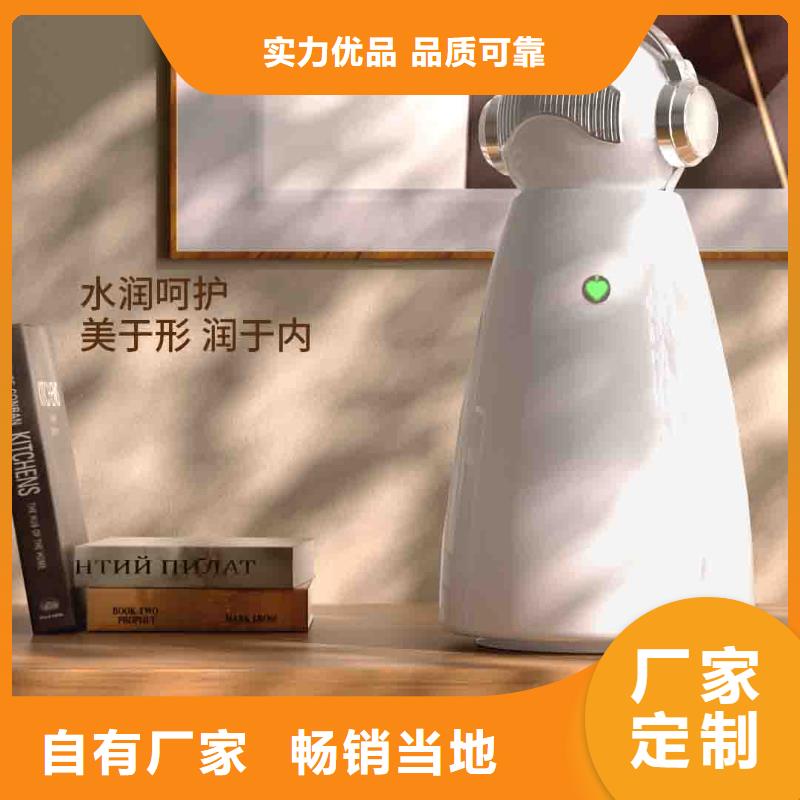 小白空气守护机车载空气净化器厂有口皆碑