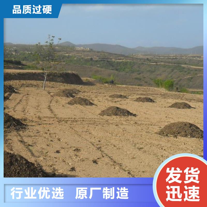发酵鸡粪养分均衡