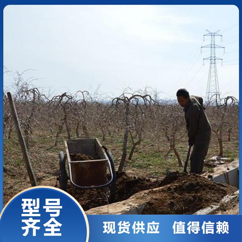 发酵鸡粪养分是多少