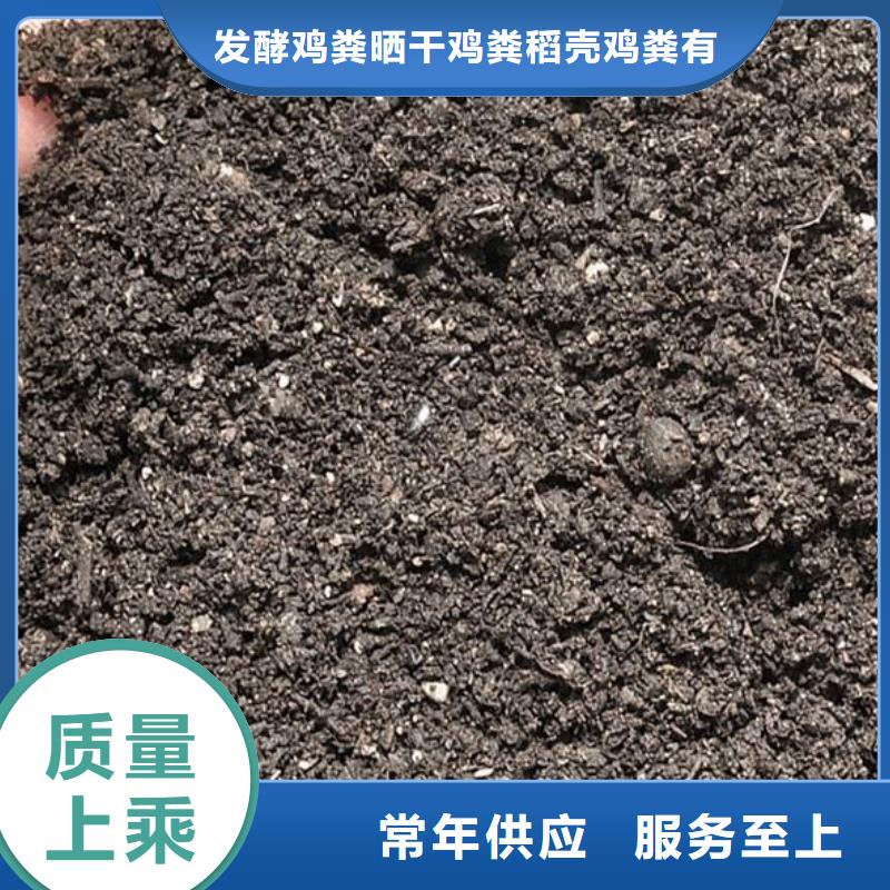 鸡粪口碑