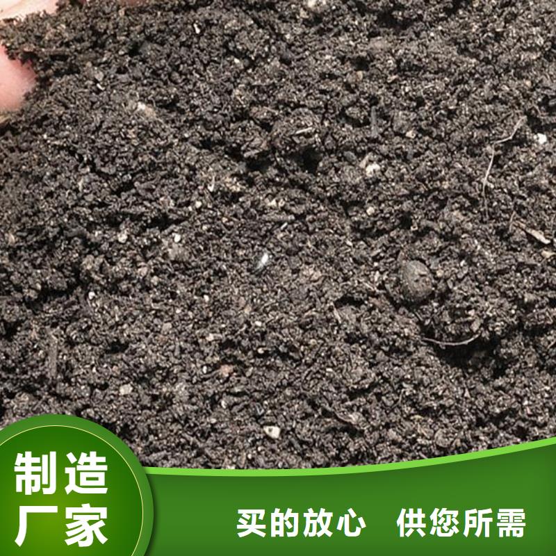 发酵鸡粪价格合适