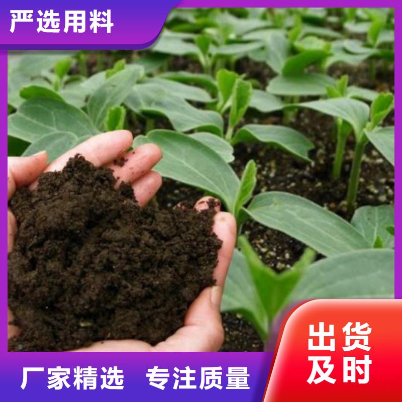 有机肥苹果树施肥