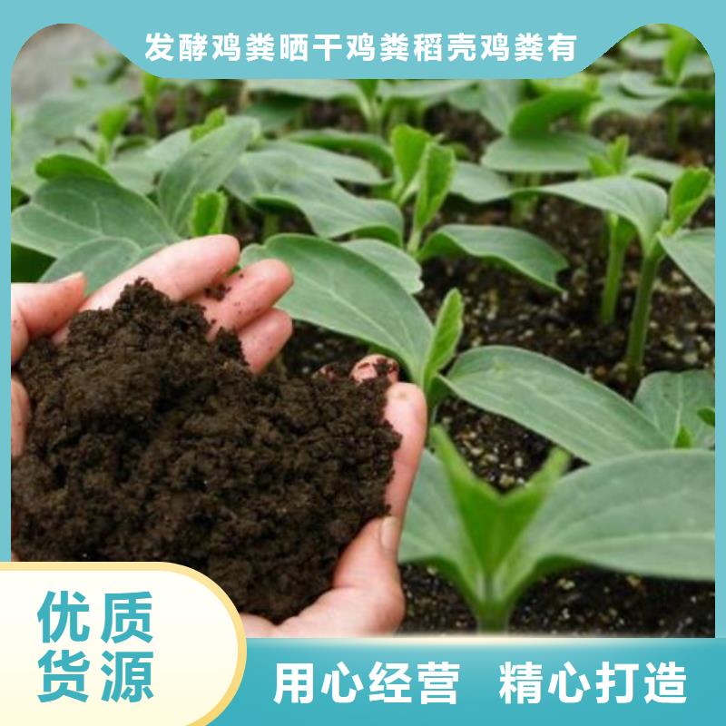 干鸡粪施肥建议