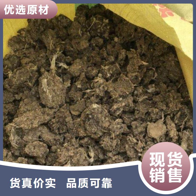 干鸡粪来这家