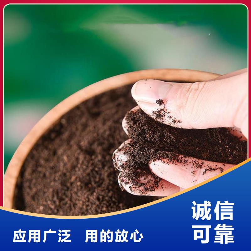 干鸡粪变废为宝