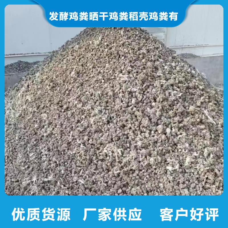 干鸡粪块行情