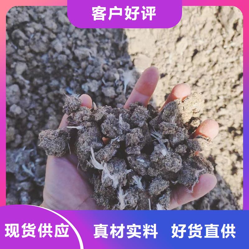 临沂兰陵郯城羊粪用法