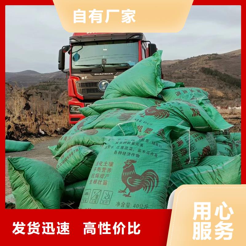 干鸡粪腐熟充分