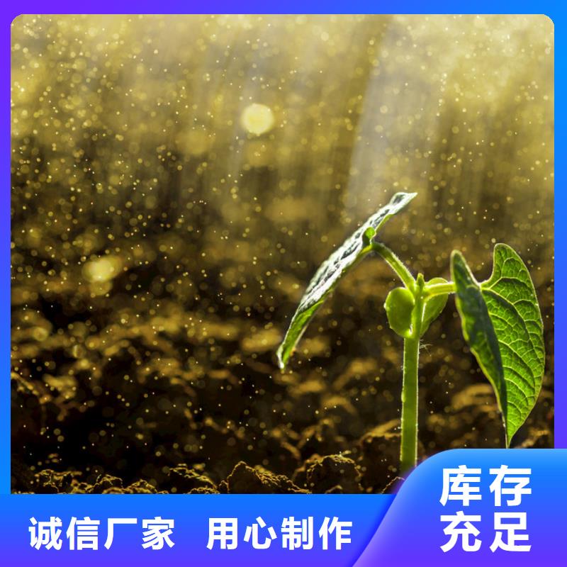 发酵鸡粪袋装散装均可