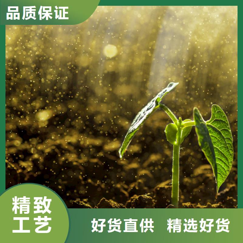 稻壳鸡粪生产基地