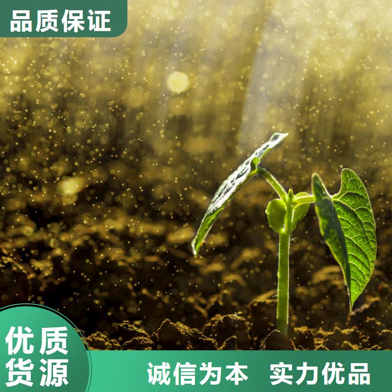 晒干鸡粪欢迎来电咨询