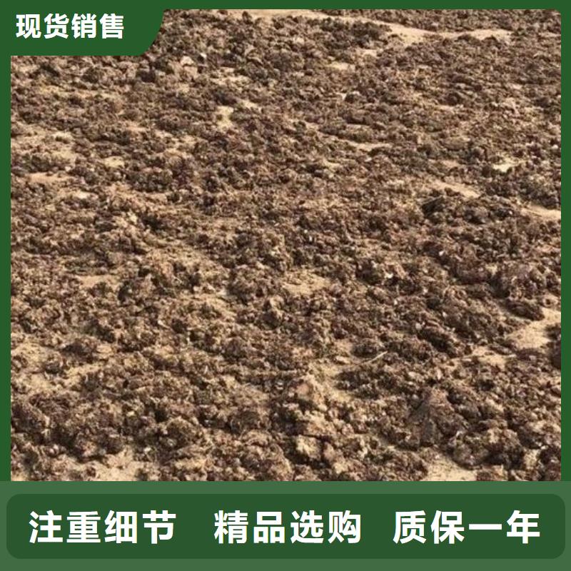 羊粪有机肥摇钱树