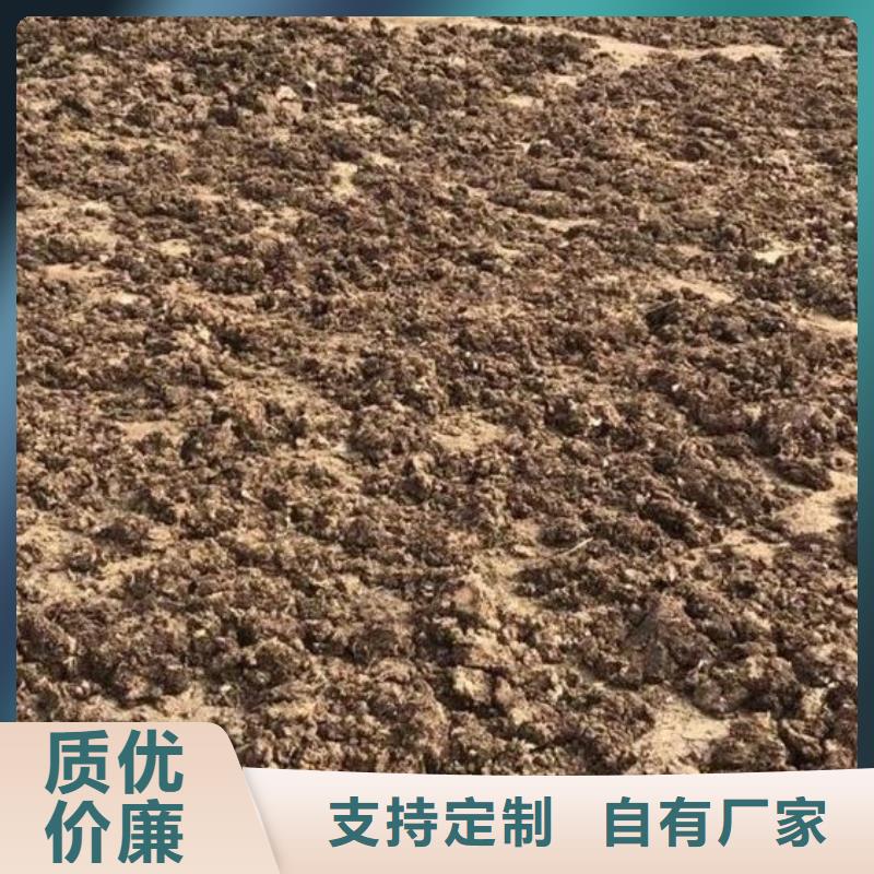 干鸡粪土壤正能量