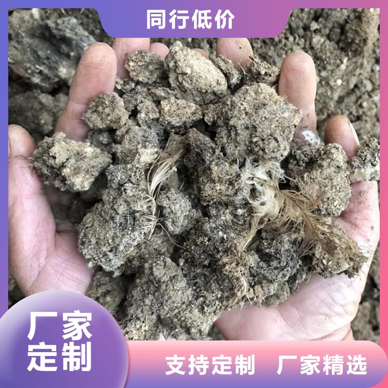 发酵羊粪厂家的价格是多少