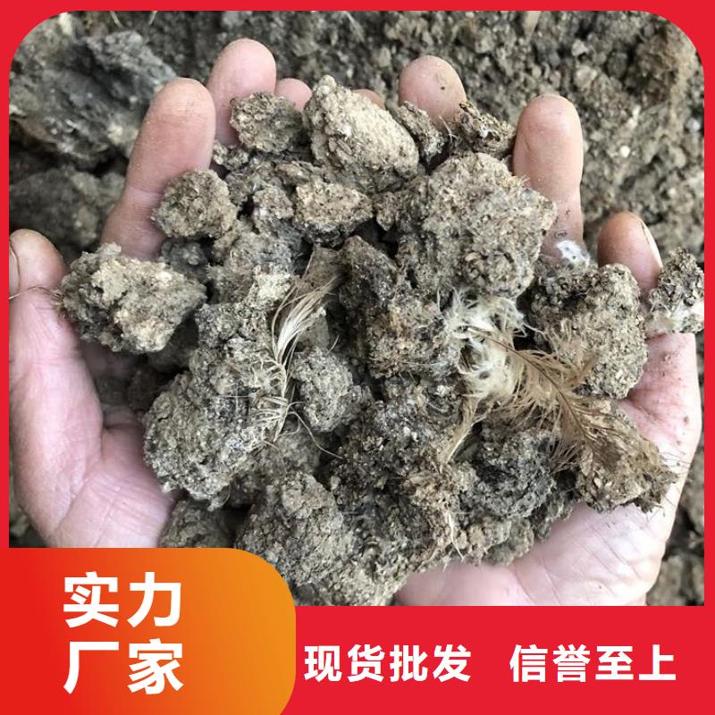 干鸡粪腐熟充分