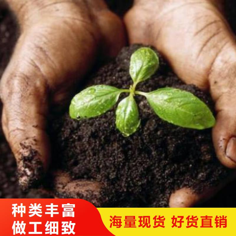 生物有机肥肥效不错