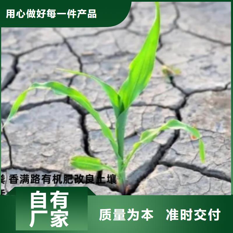 发酵羊粪好新价格