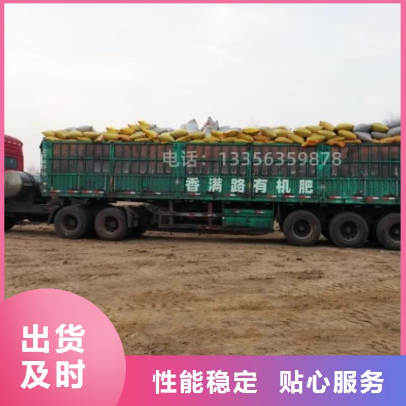 有机肥破除土壤板结