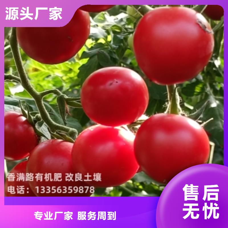 干鸡粪块原料纯真