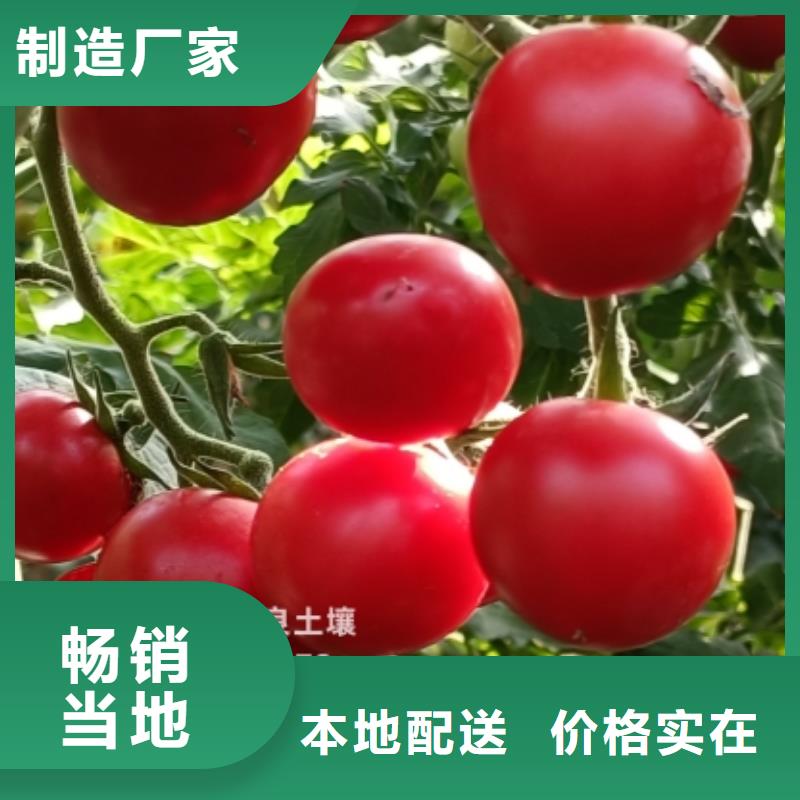 稻壳鸡粪成色上乘