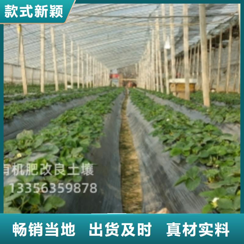 干鸡粪改善土壤