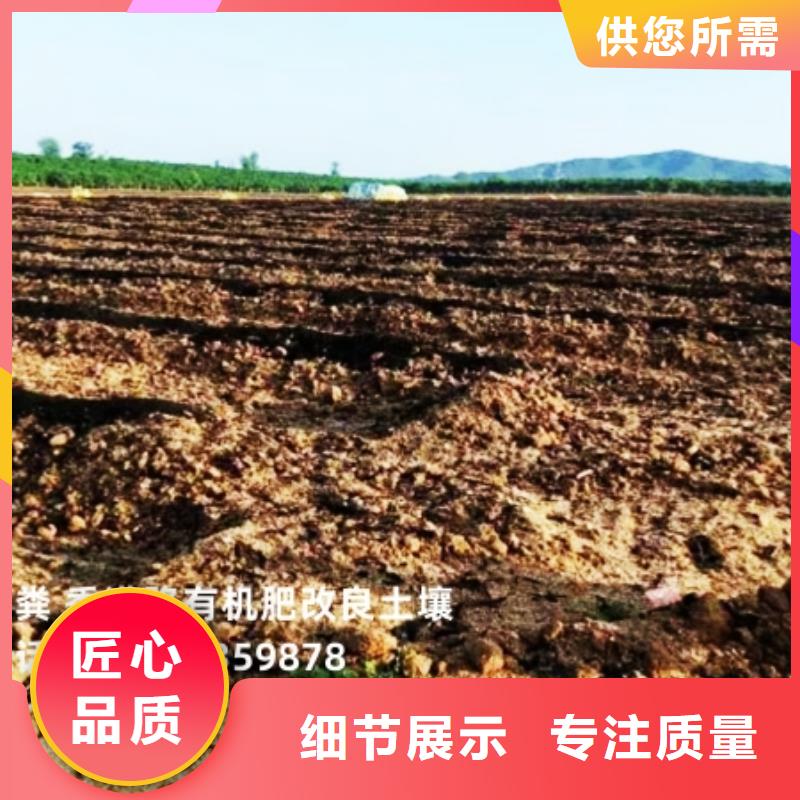 干鸡粪倡导循环经济
