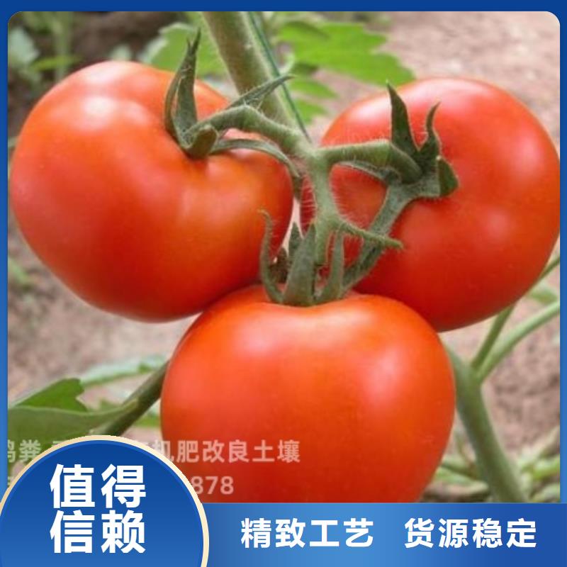 鸡粪有机肥肥沃农田