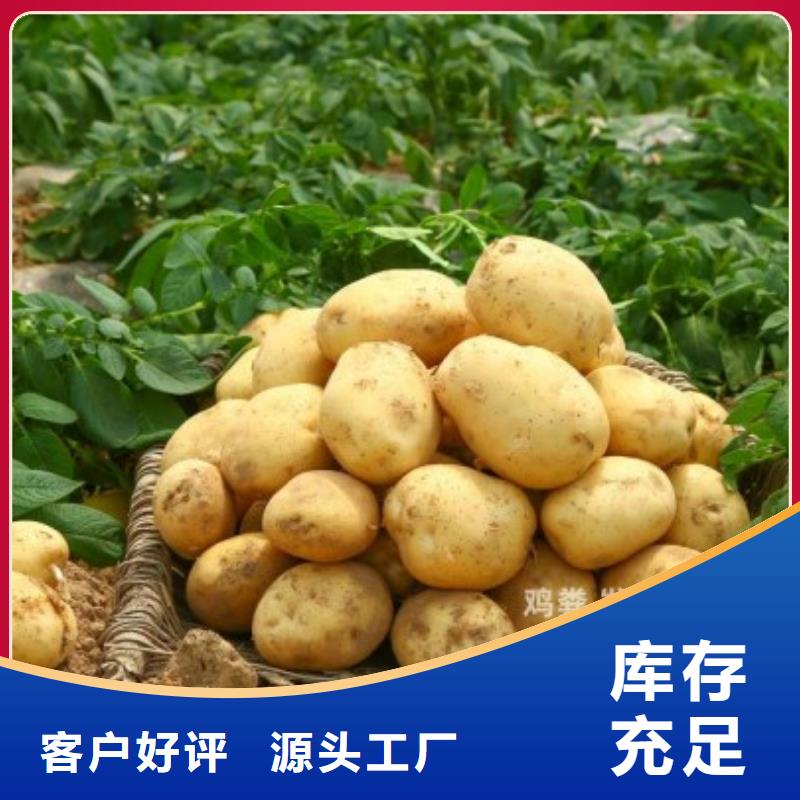 发酵鸡粪老农喜欢