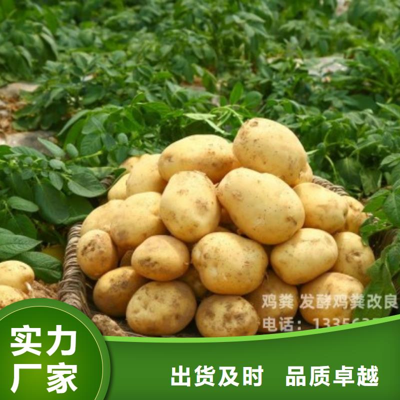 鸡粪有机肥恢复耕地质量
