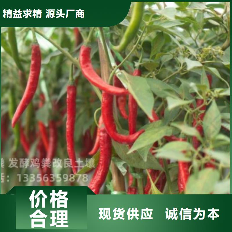稻壳鸡粪一吨多少钱