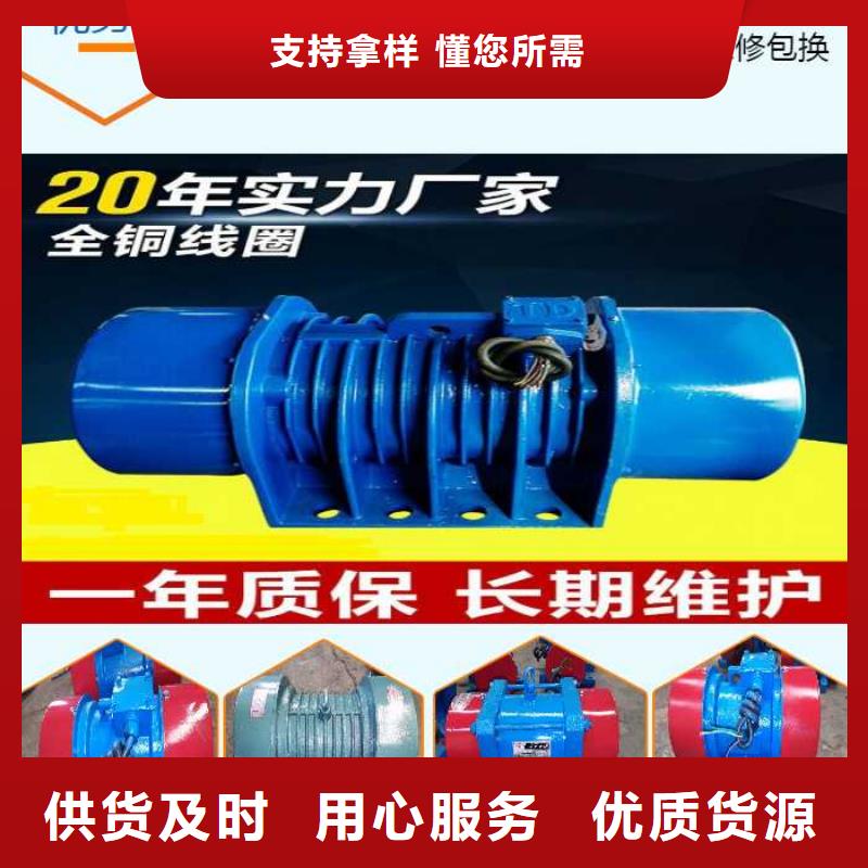 振动电机平板振动器厂家选择我们选择放心
