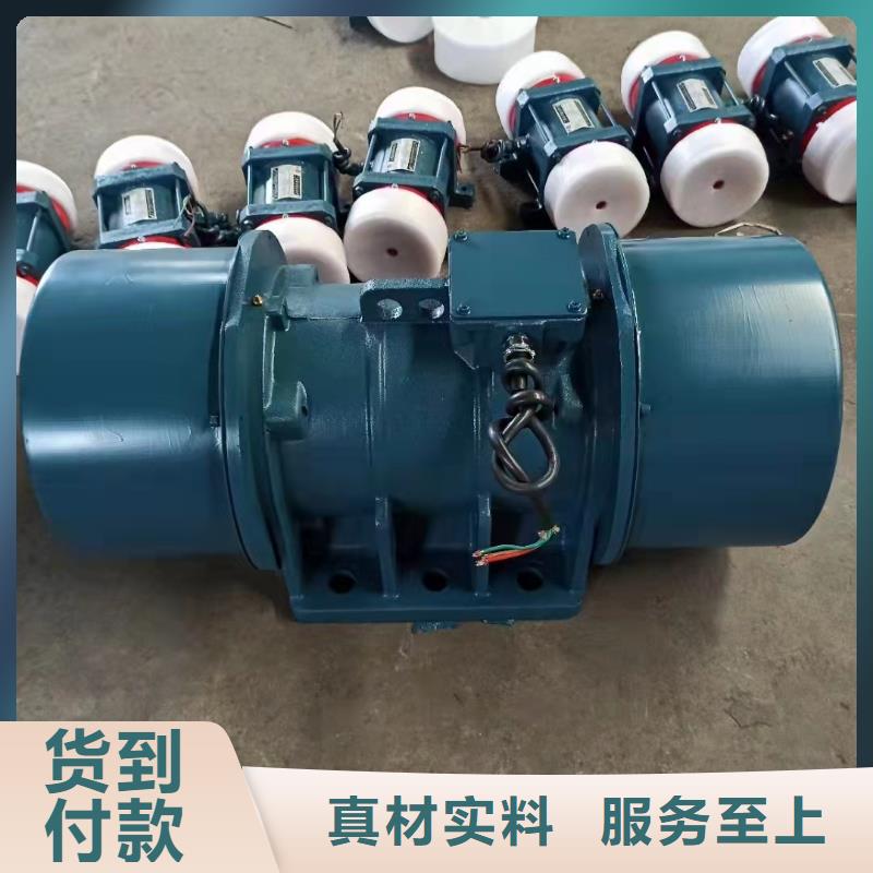 仓壁振动器防爆电机厂家供应