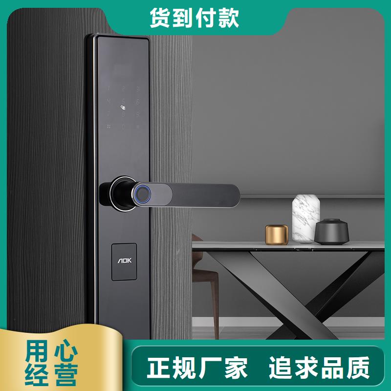 爱迪凯可视智能锁那个牌子好